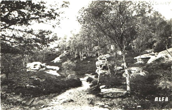 Sous Bois